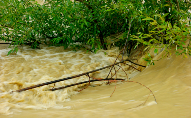 shutterstock_1126400813