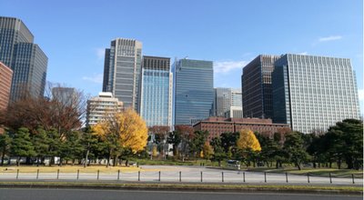 shutterstock_1260801505