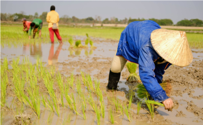 shutterstock_1652312098