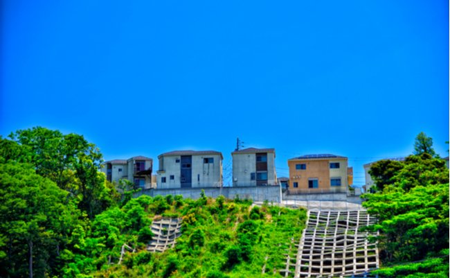 shutterstock_1665489394