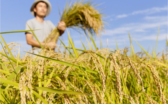 shutterstock_318297722