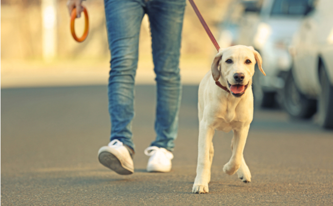 shutterstock_381803392