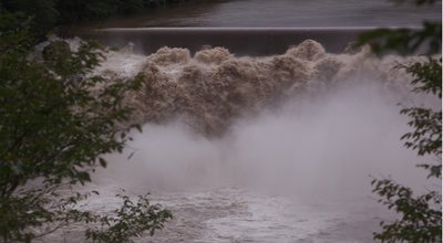 shutterstock_487057768