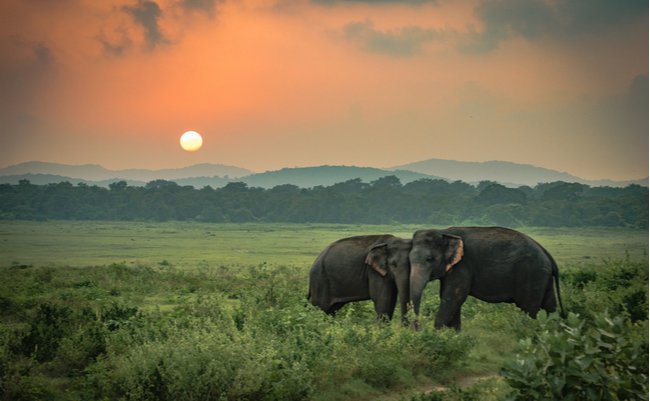 shutterstock_790049065