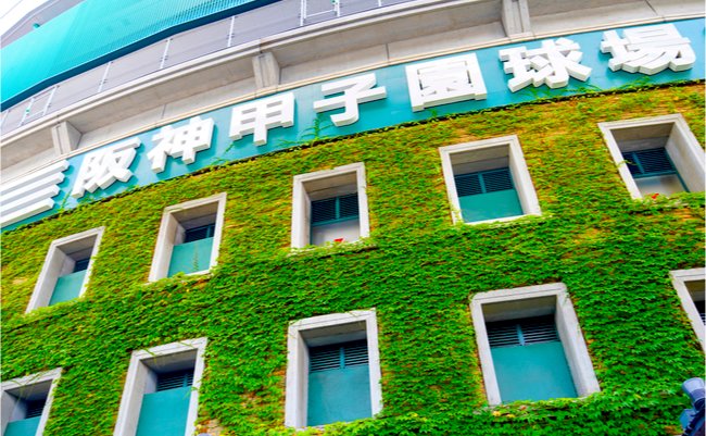 shutterstock_1486874546