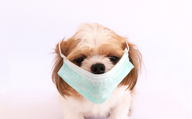 shutterstock_322930130