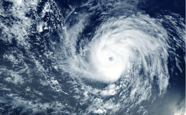 shutterstock_1562689363