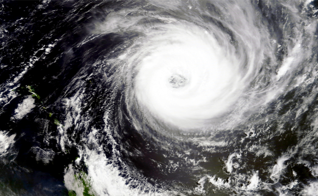 shutterstock_1222378909