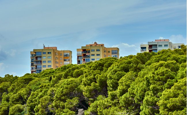 shutterstock_1507593377