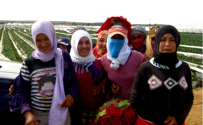 shutterstock_1552426331