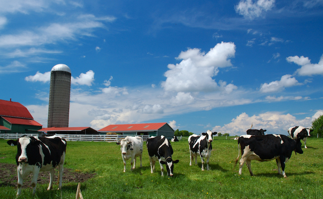 shutterstock_1354957112