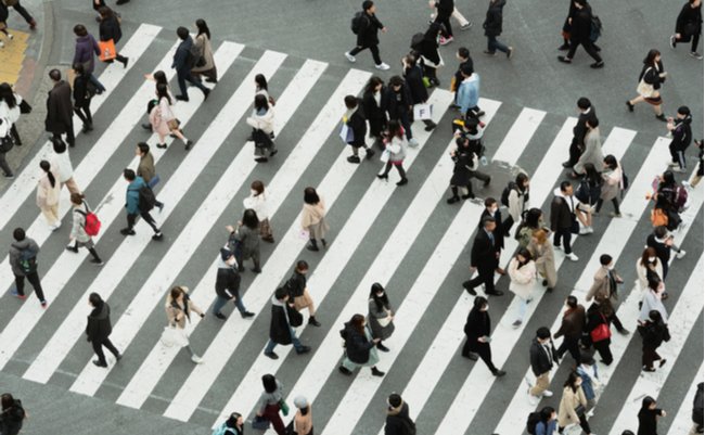 shutterstock_1660327732