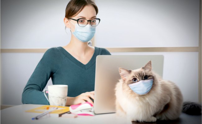 shutterstock_1684893613