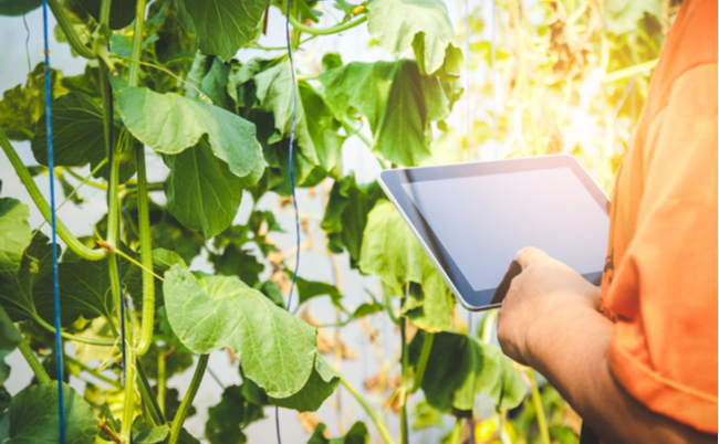 shutterstock_1561727602