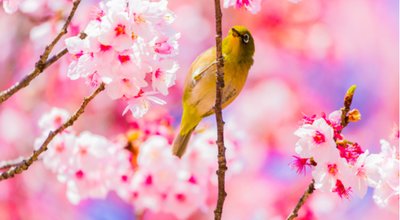 shutterstock_1010214562