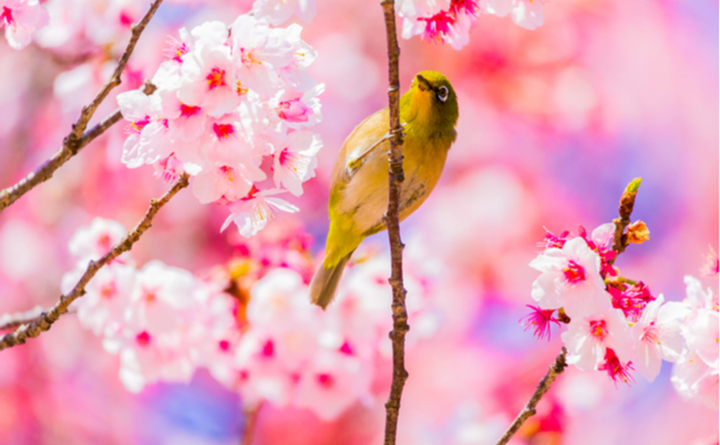 shutterstock_1010214562