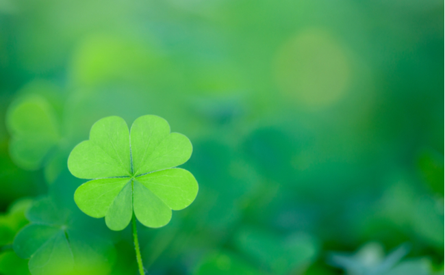 shutterstock_1299547744