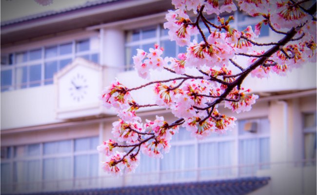 入学式も卒業式もムダ。3月4月すべての儀式が日本人を不幸にする