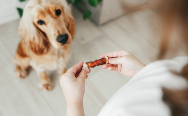 shutterstock_1728451831