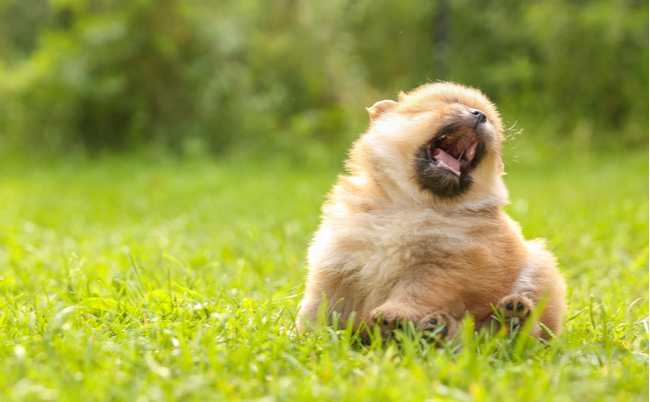 shutterstock_1799143546