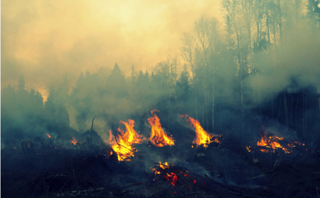 shutterstock_242136472