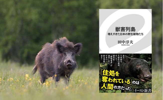 【書評】感染症の危機も。増えすぎた野生動物に殺される日本人