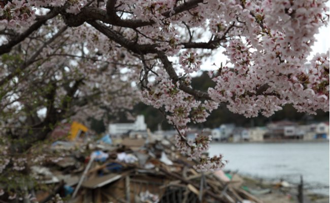 311で全てが変わった。東日本大震災が社会に解き放った負の感情