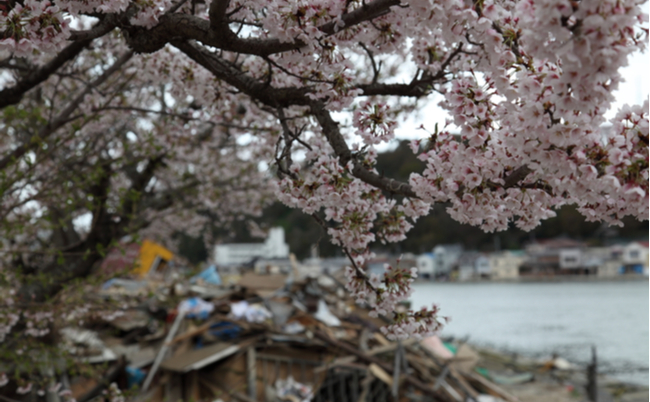 shutterstock_419338705