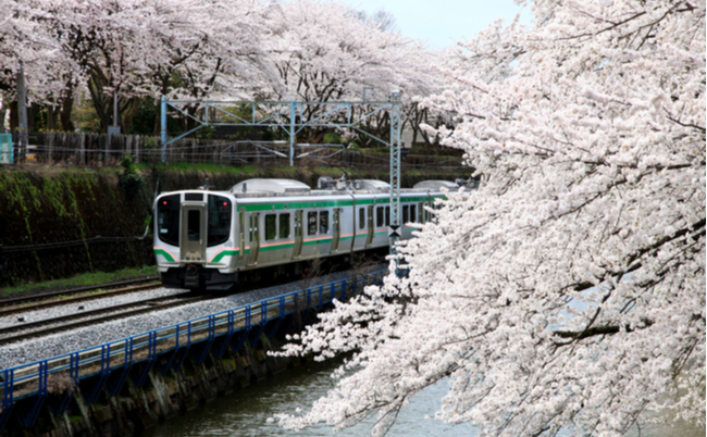 shutterstock_792625420