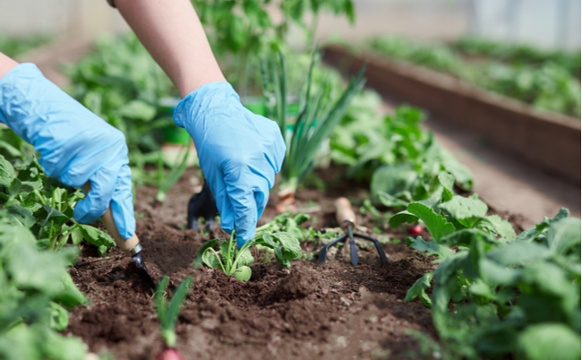 shutterstock_1727557816