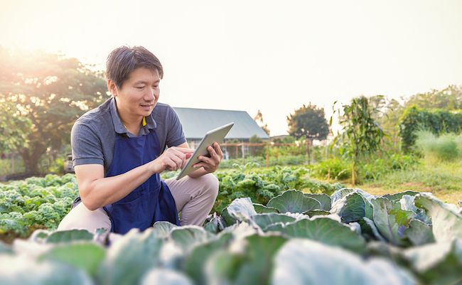 Portrait,Of,Happy,Sme,Owner,Asian,Man,Working,With,Tablet