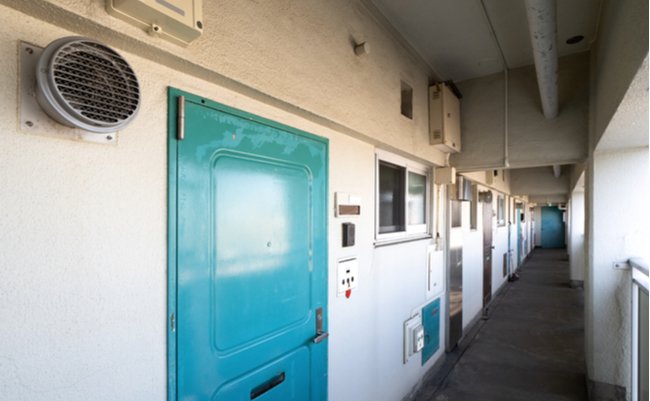 shutterstock_1927248446