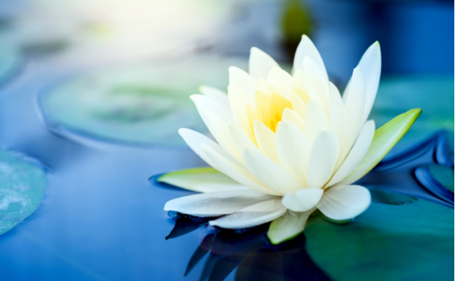 shutterstock_678970549