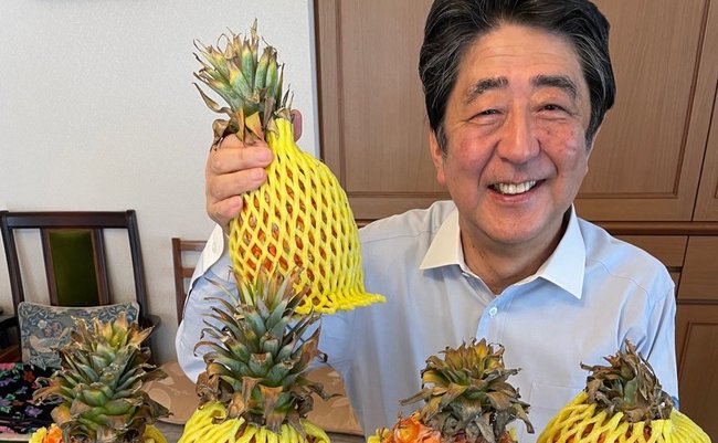 安倍さん_パイナップル②