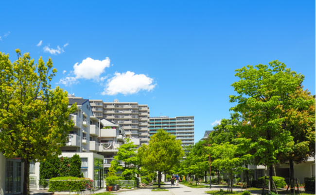 shutterstock_1156603525