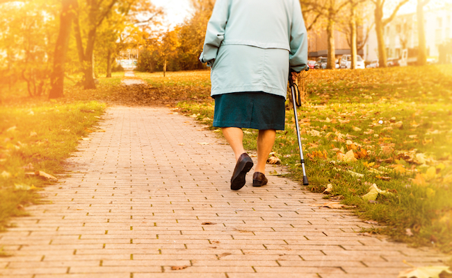 Seniors,Do,Walk,In,The,Park