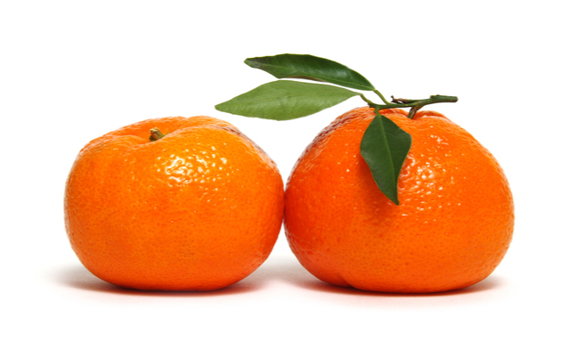 shutterstock_749900842