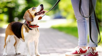 shutterstock_1693683121