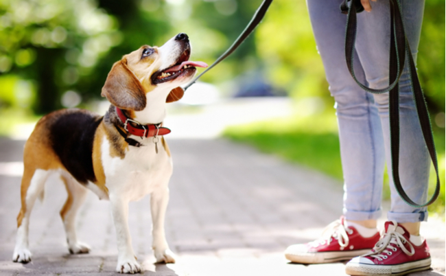 shutterstock_1693683121