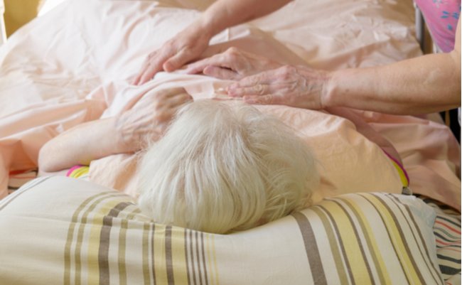 shutterstock_1968902245