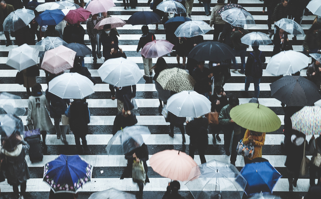 shutterstock_525921169