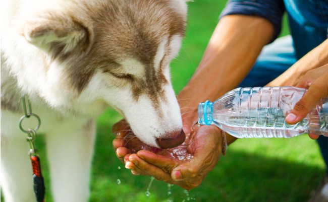 shutterstock_670074577