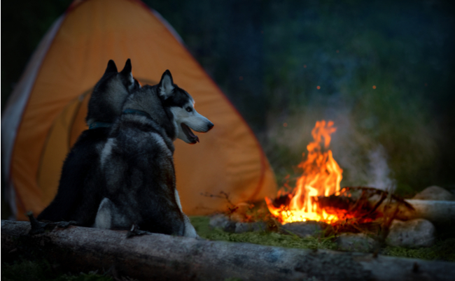 shutterstock_786951328