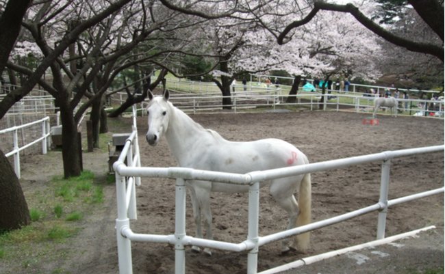 shutterstock_1150884227