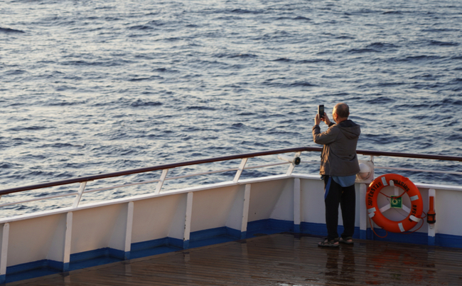 shutterstock_1555099487