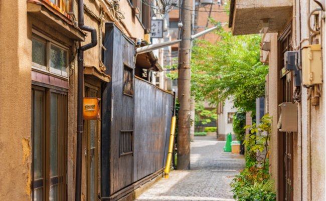 shutterstock_1999186676