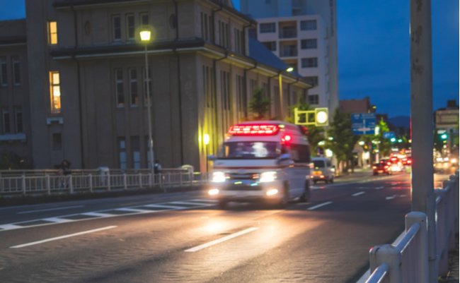 shutterstock_1447255217 (1)