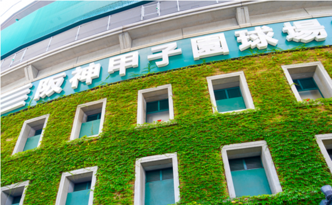 shutterstock_1486874546