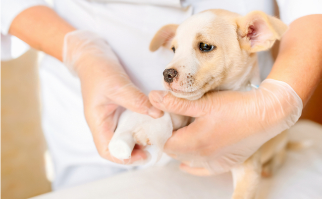 shutterstock_1846277248