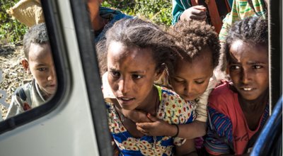 shutterstock_1924546175